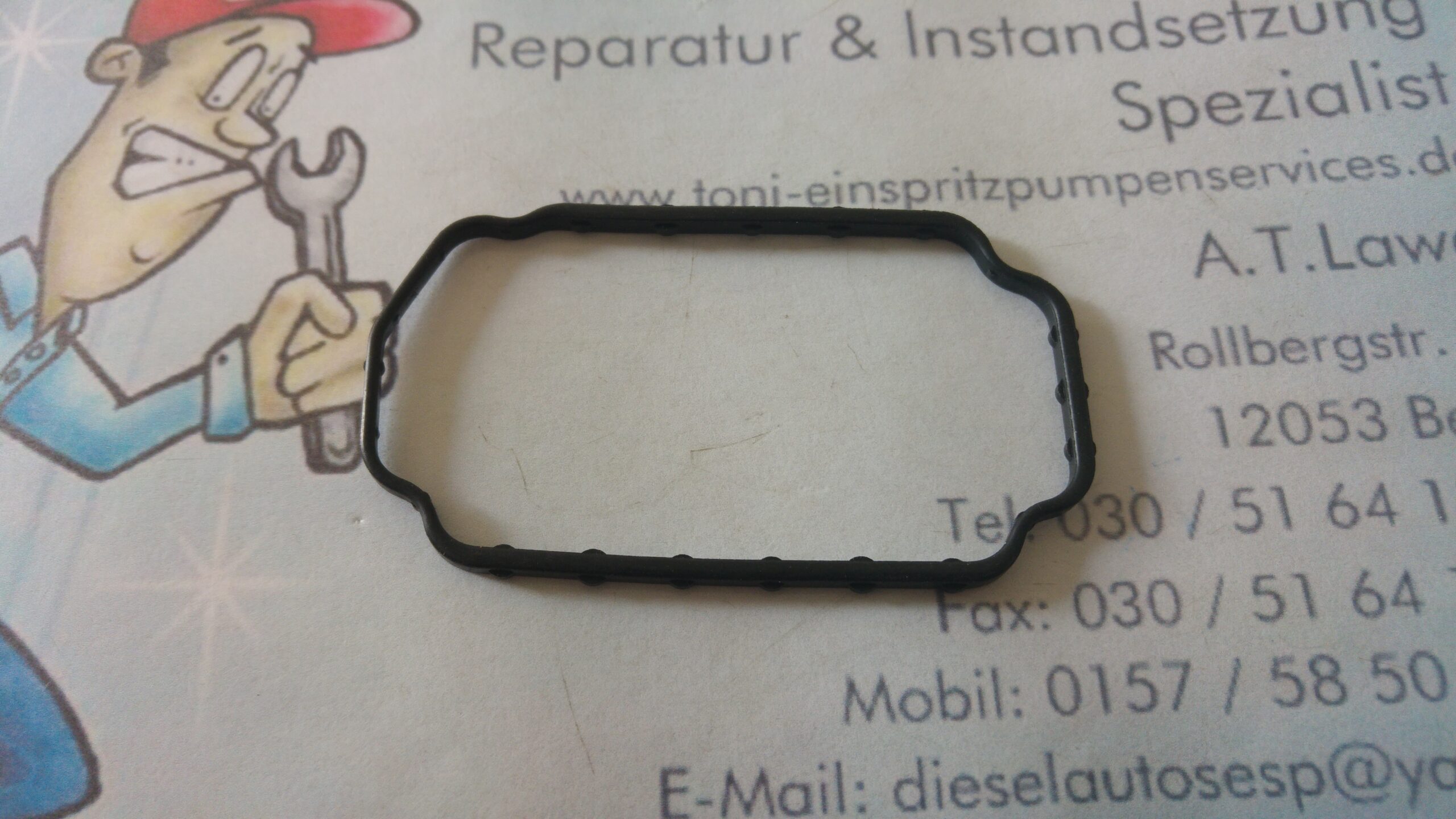 VW Bus T2 T3 ESP Einspritzpumpe Dichtungen