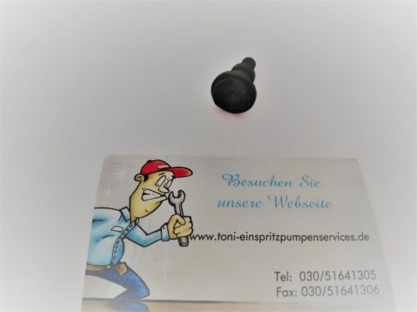 Bosch 1463161319
